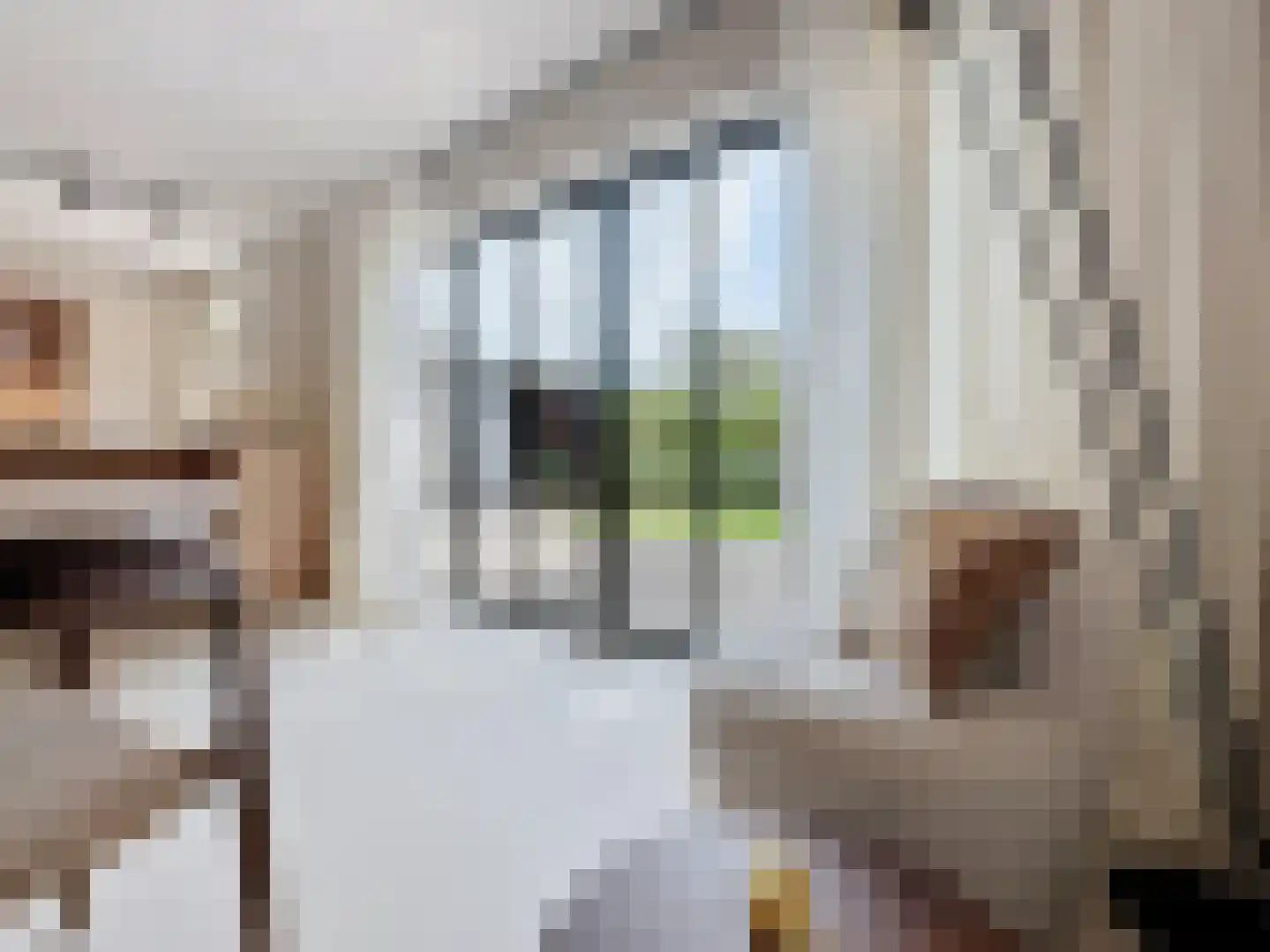 Prins Mauritsstraat 6 Retranchement thumbnail 7