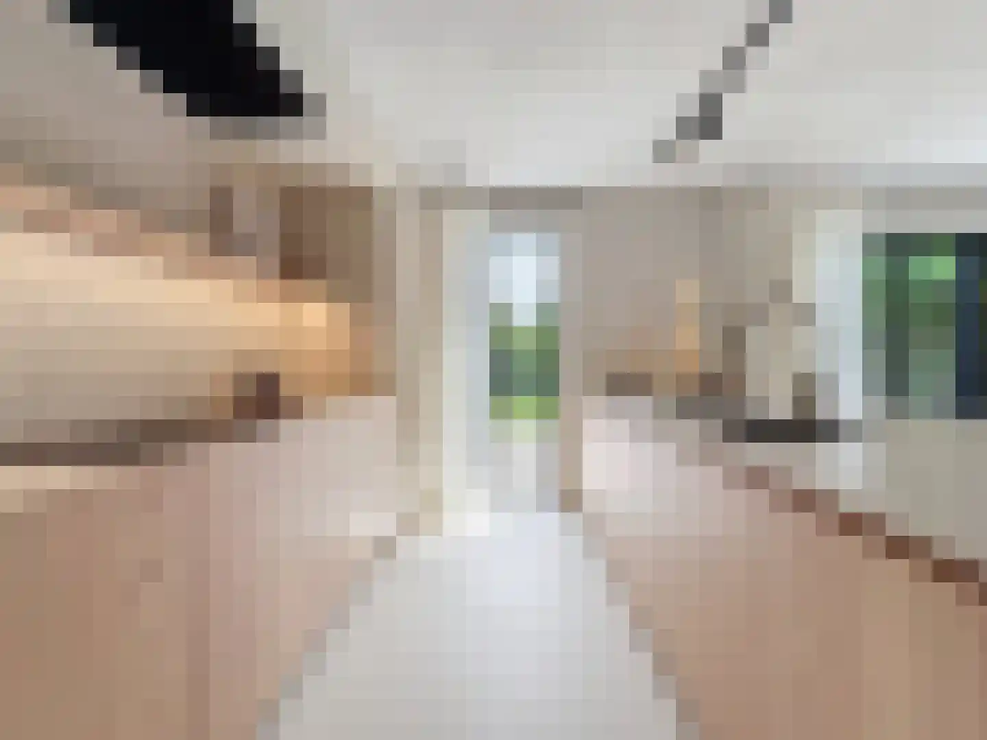 Prins Mauritsstraat 6 Retranchement thumbnail 9