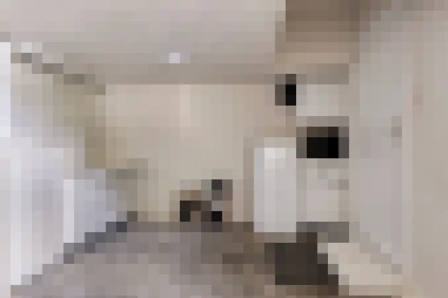 Prins Mauritsstraat 61 Wehl thumbnail 20