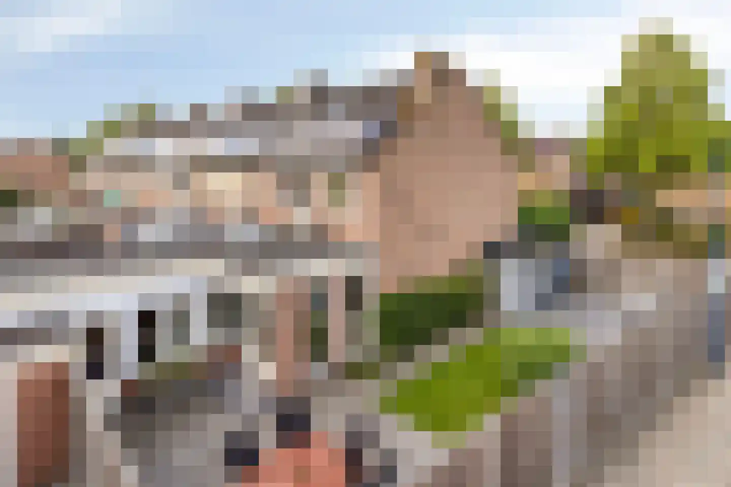 Prins Mauritsstraat 61 Wehl thumbnail 5