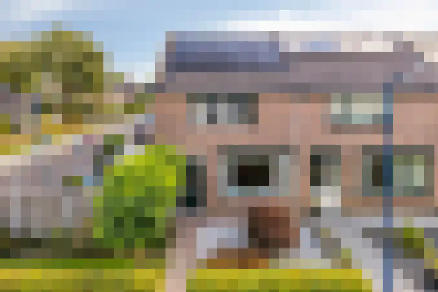 Prins Mauritsstraat 61 Wehl thumbnail 6