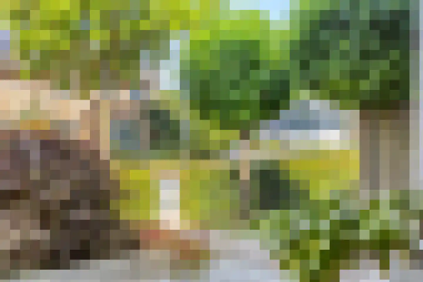 Prins Mauritsstraat 61 Wehl thumbnail 7