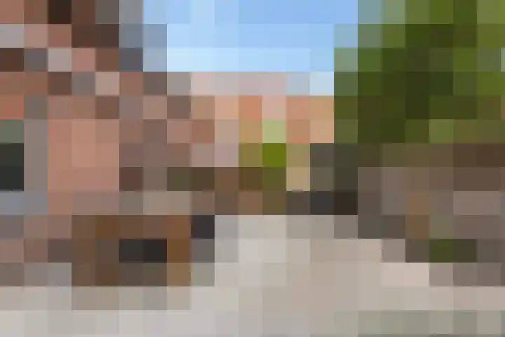 Prins Mauritsstraat 62 Zwolle thumbnail 31