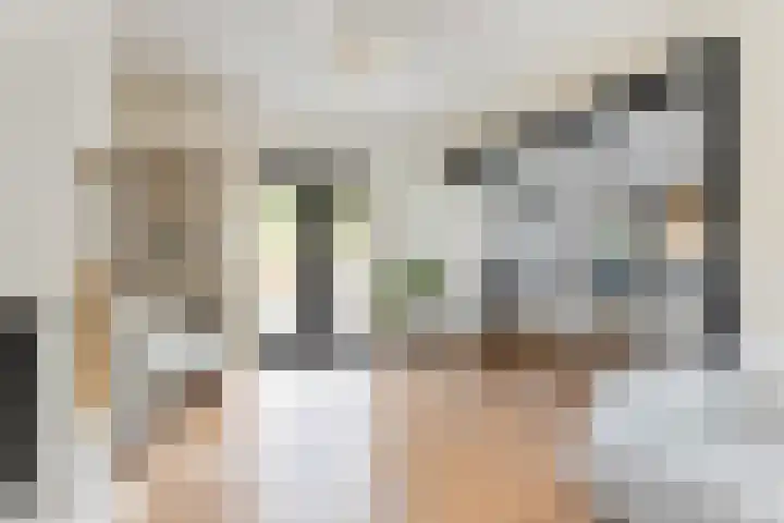 Prins Mauritsstraat 62 Zwolle thumbnail 4