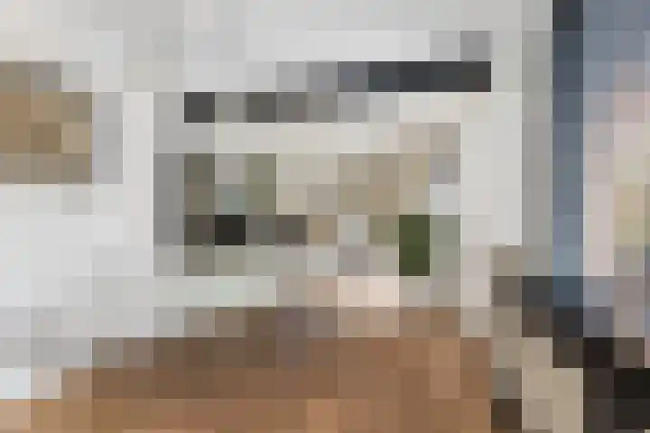 Prins Mauritsstraat 62 Zwolle thumbnail 7