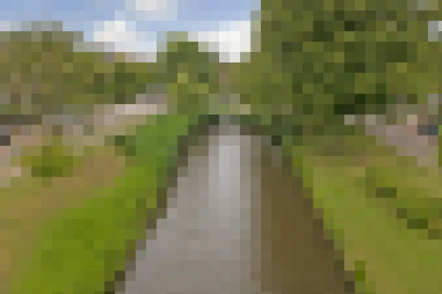 Prins Mauritsstraat 69 Schiedam thumbnail 38