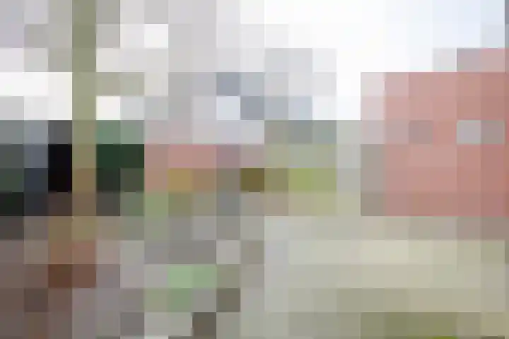 Prins Mauritsstraat 69 Wehl thumbnail 11