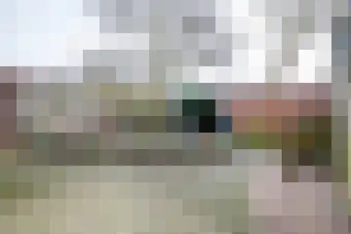 Prins Mauritsstraat 69 Wehl thumbnail 12