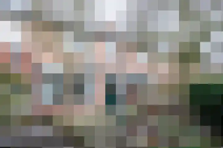 Prins Mauritsstraat 69 Wehl thumbnail 14