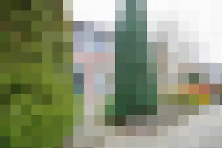 Prins Mauritsstraat 69 Wehl thumbnail 15