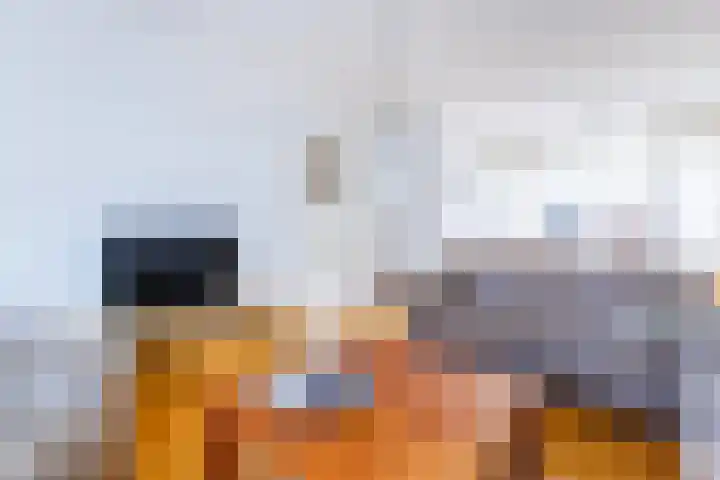 Prins Mauritsstraat 69 Wehl thumbnail 5