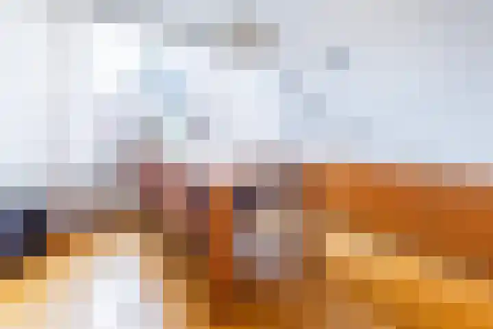 Prins Mauritsstraat 69 Wehl thumbnail 6