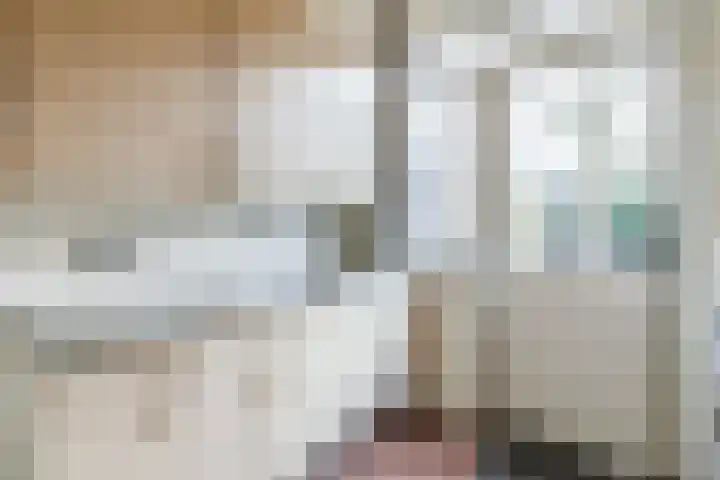 Prins Mauritsstraat 69 Wehl thumbnail 8