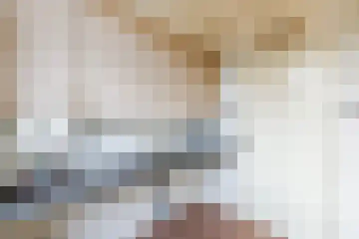 Prins Mauritsstraat 69 Wehl thumbnail 9