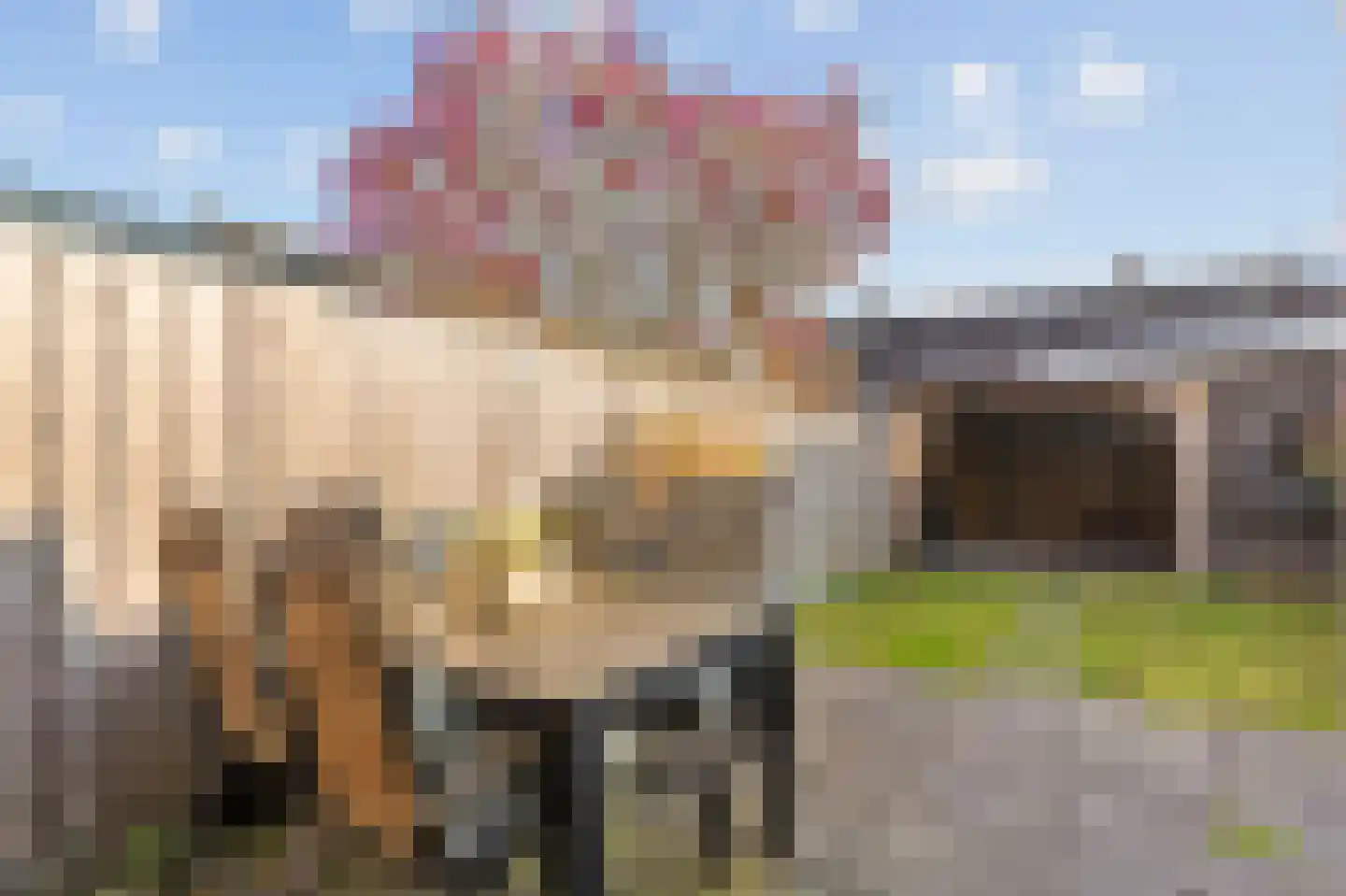 Prins Mauritsstraat 84 Zwijndrecht thumbnail 4