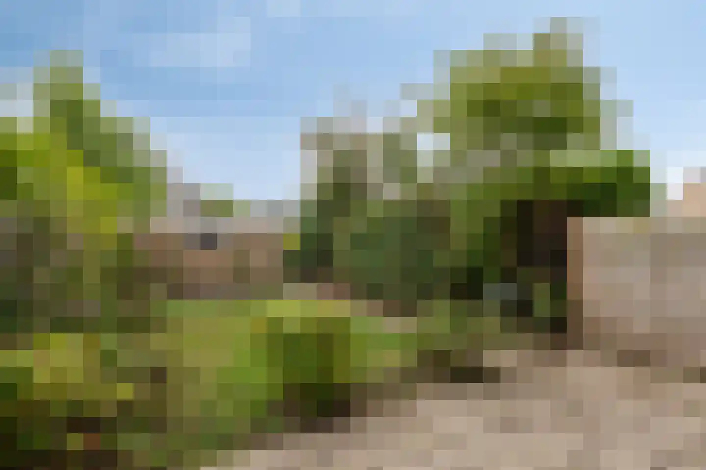 Prins Mauritsstraat 9 Zevenaar thumbnail 43