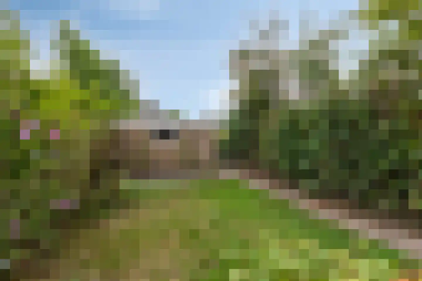 Prins Mauritsstraat 9 Zevenaar thumbnail 44