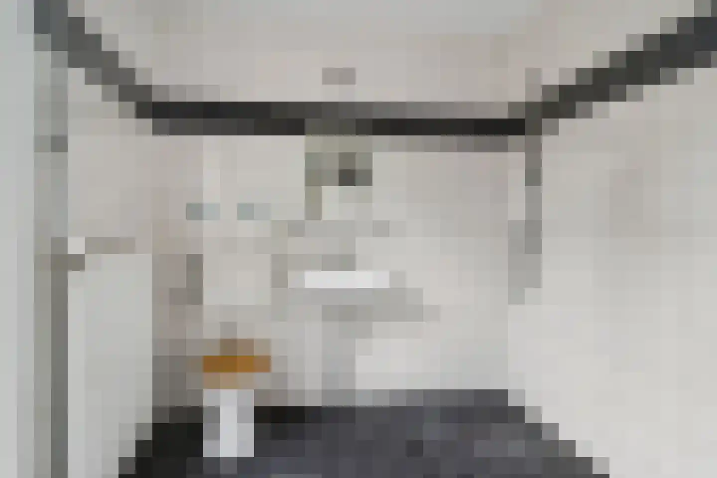 Prins Mauritsweg 1 Waalre thumbnail 12