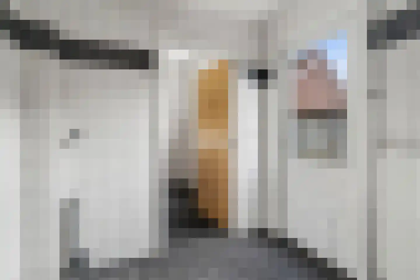 Prins Mauritsweg 1 Waalre thumbnail 13