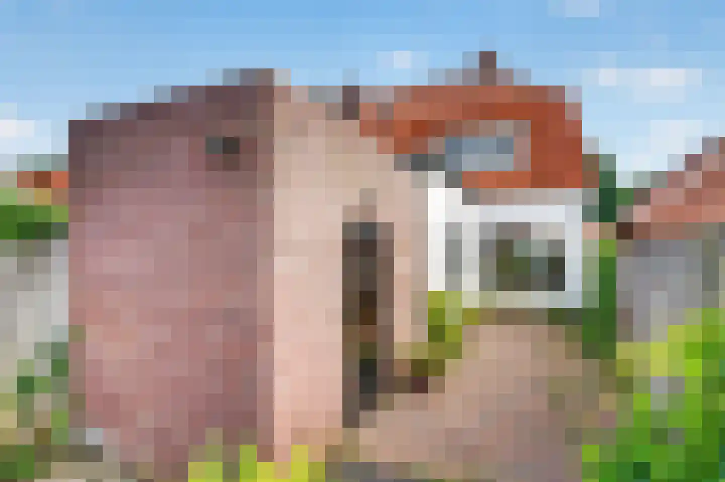 Prins Mauritsweg 1 Waalre thumbnail 23