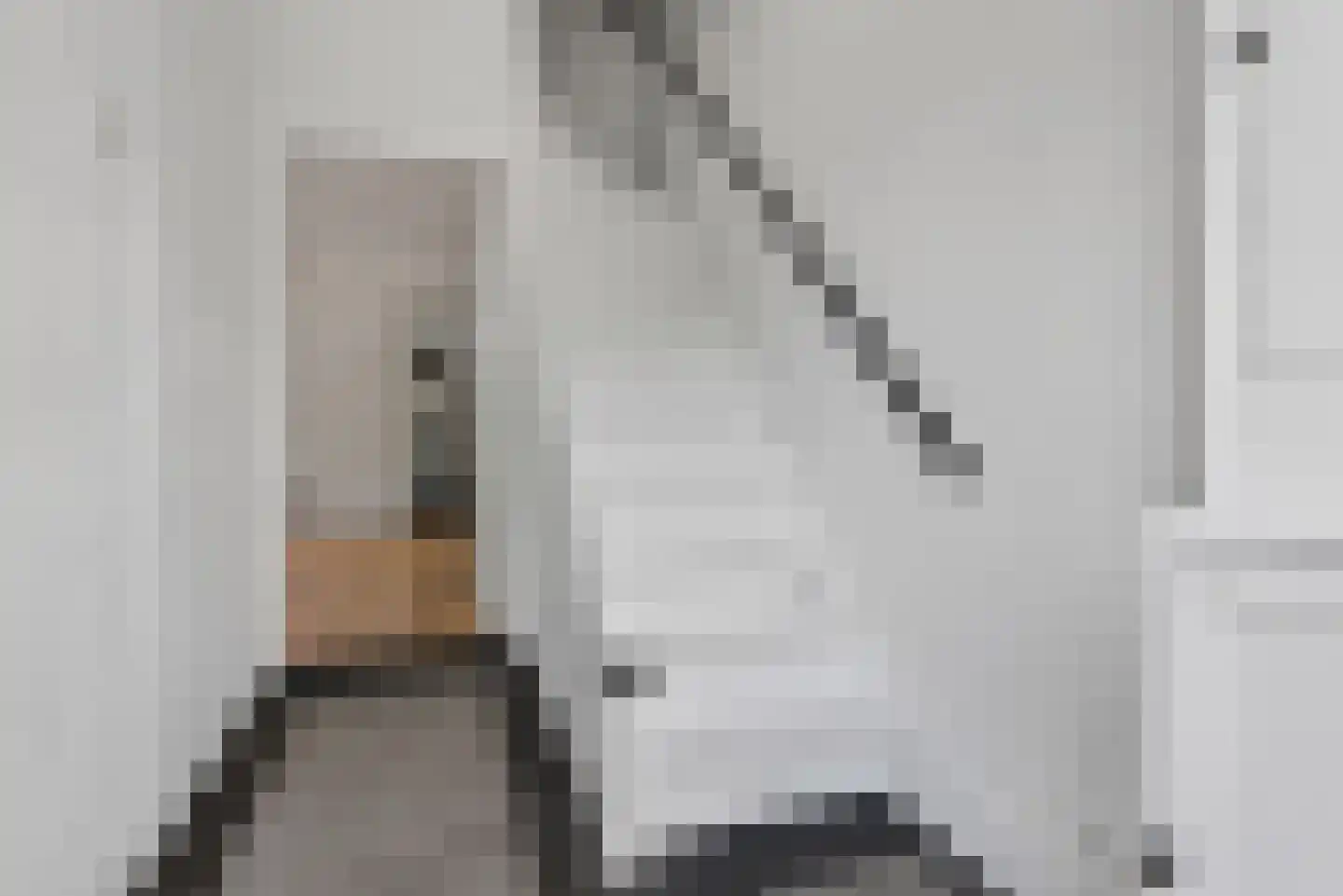 Prins Mauritsweg 1 Waalre thumbnail 4
