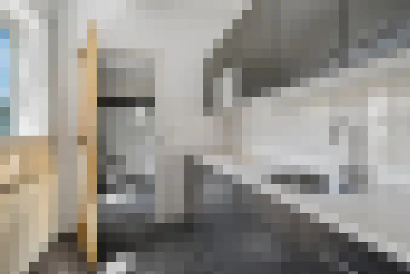 Prins Mauritsweg 1 Waalre thumbnail 9