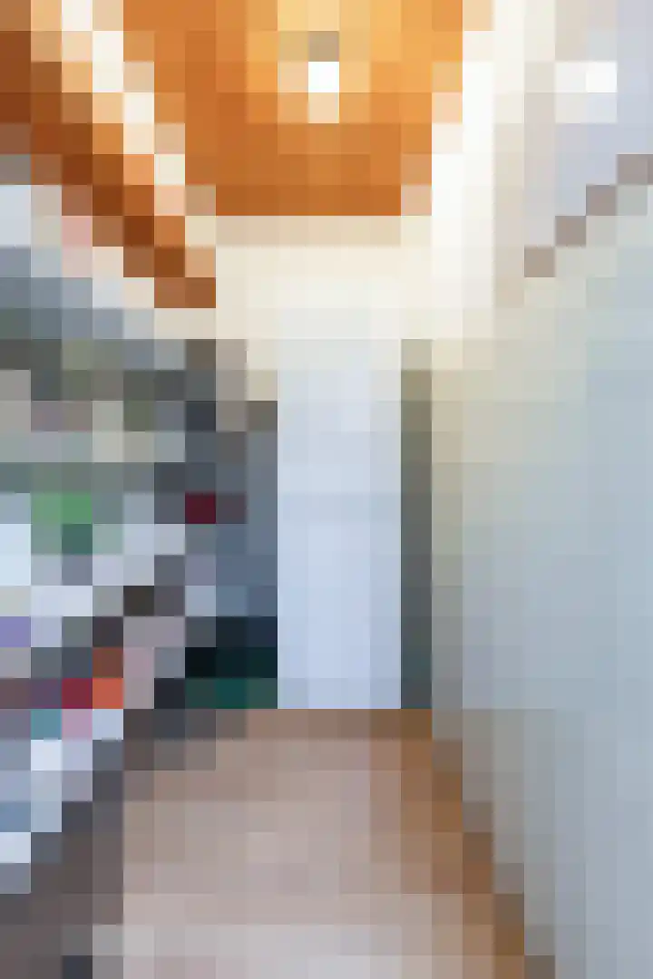 Prins Mauritsweg 11 Waalre thumbnail 10