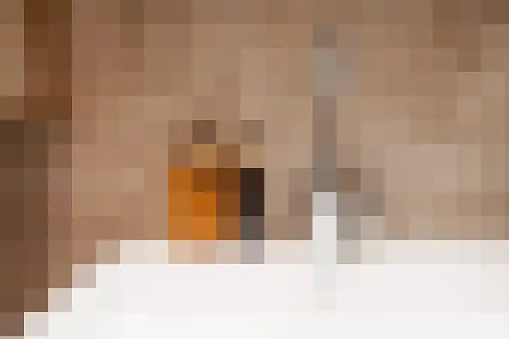 Prins Mauritsweg 11 Waalre thumbnail 14