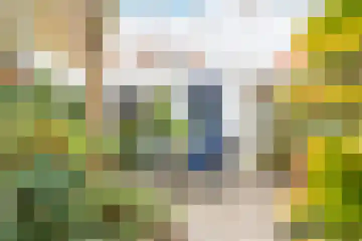 Prins Mauritsweg 11 Waalre thumbnail 28