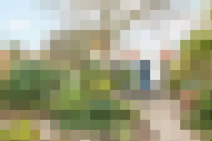 Prins Mauritsweg 11 Waalre thumbnail 30