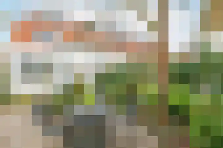 Prins Mauritsweg 11 Waalre thumbnail 32