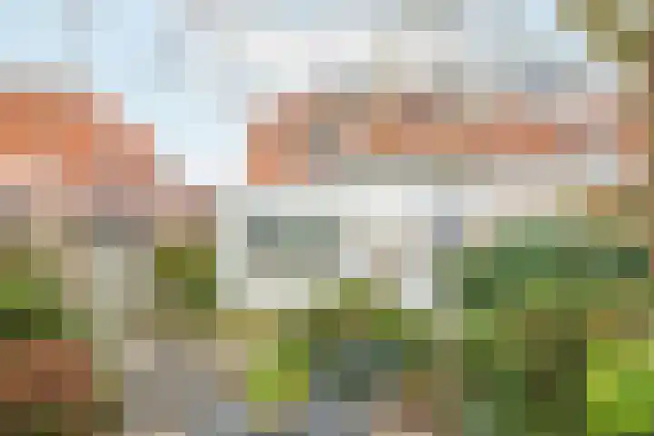 Prins Mauritsweg 11 Waalre thumbnail 33