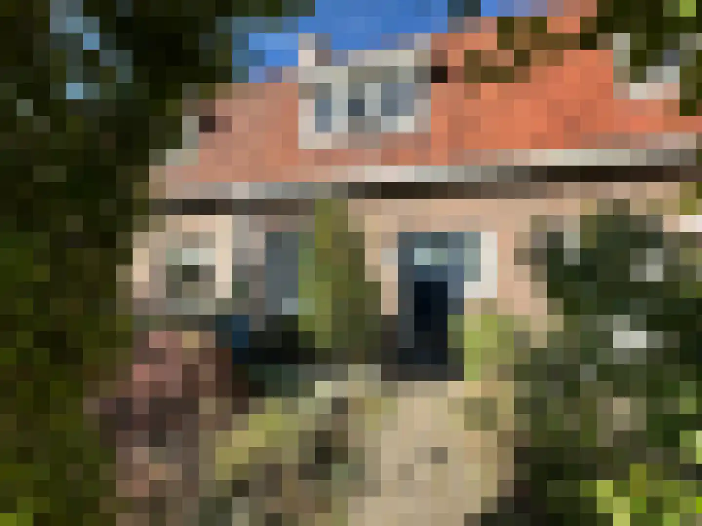 Prins Mauritsweg 21 in Waalre