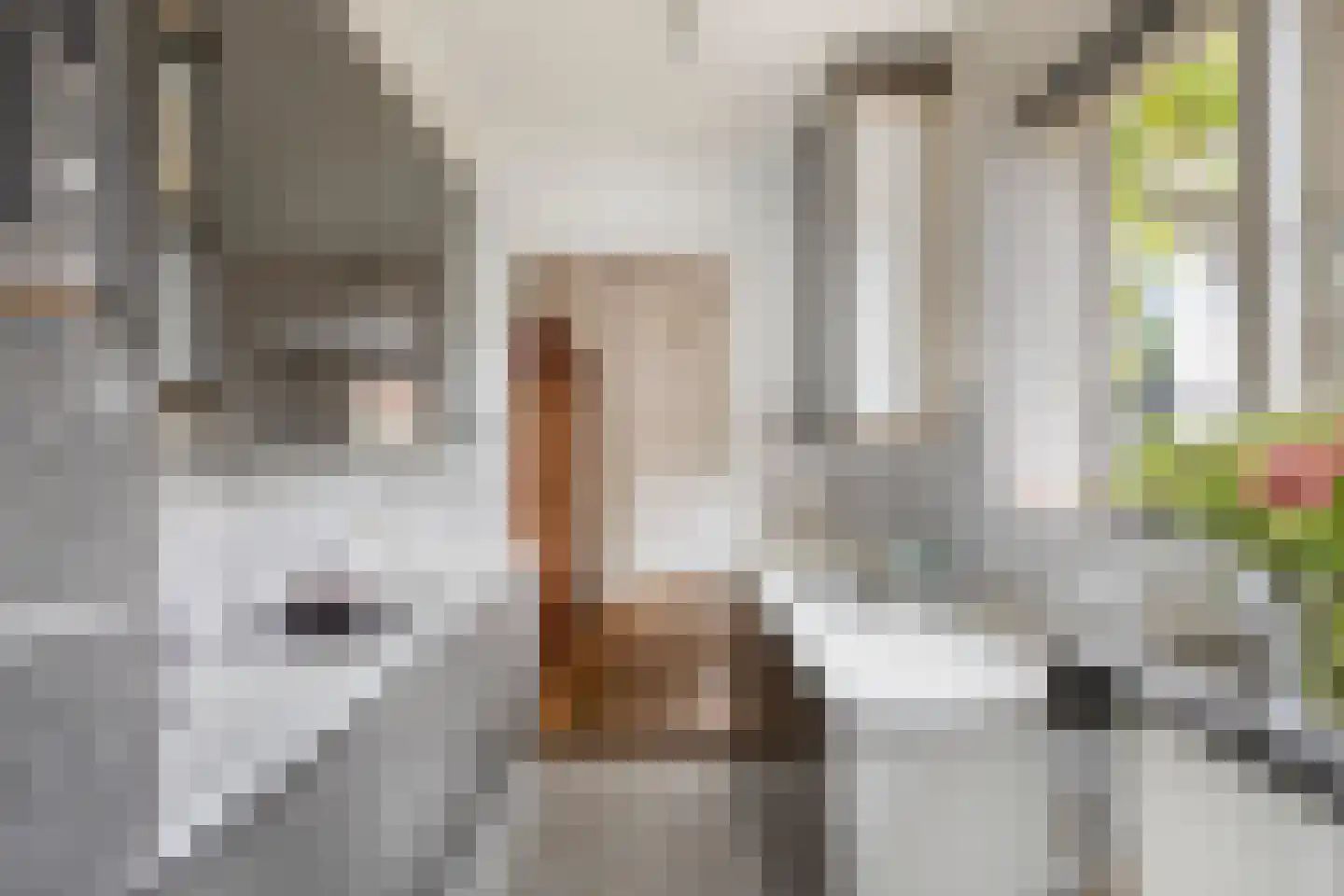 Prins Mauritsweg 21 Waalre thumbnail 10