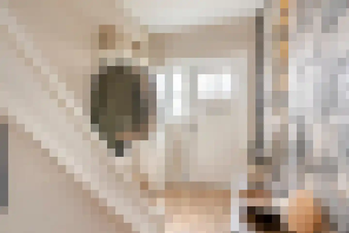Prins Mauritsweg 21 Waalre thumbnail 14