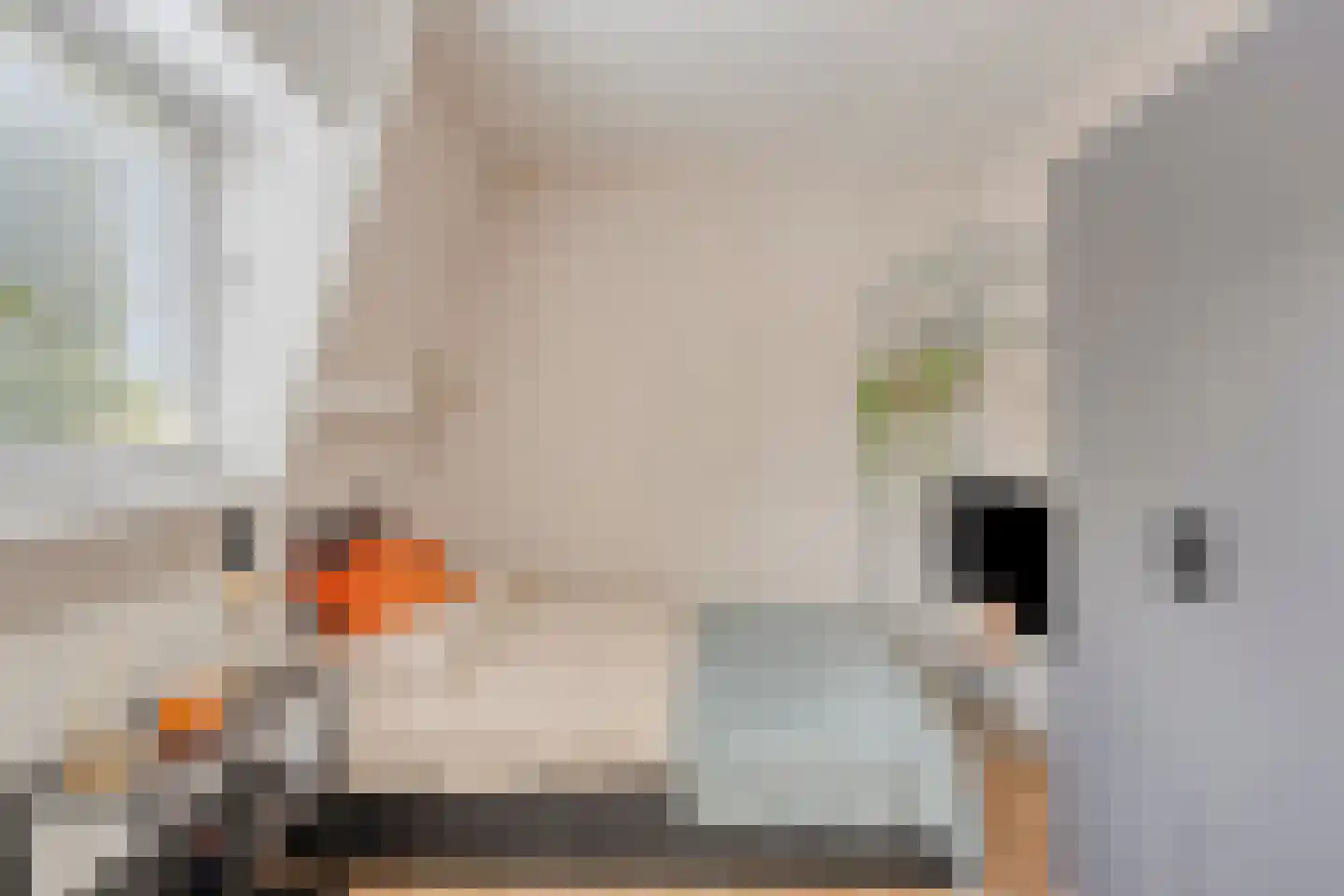 Prins Mauritsweg 21 Waalre thumbnail 19