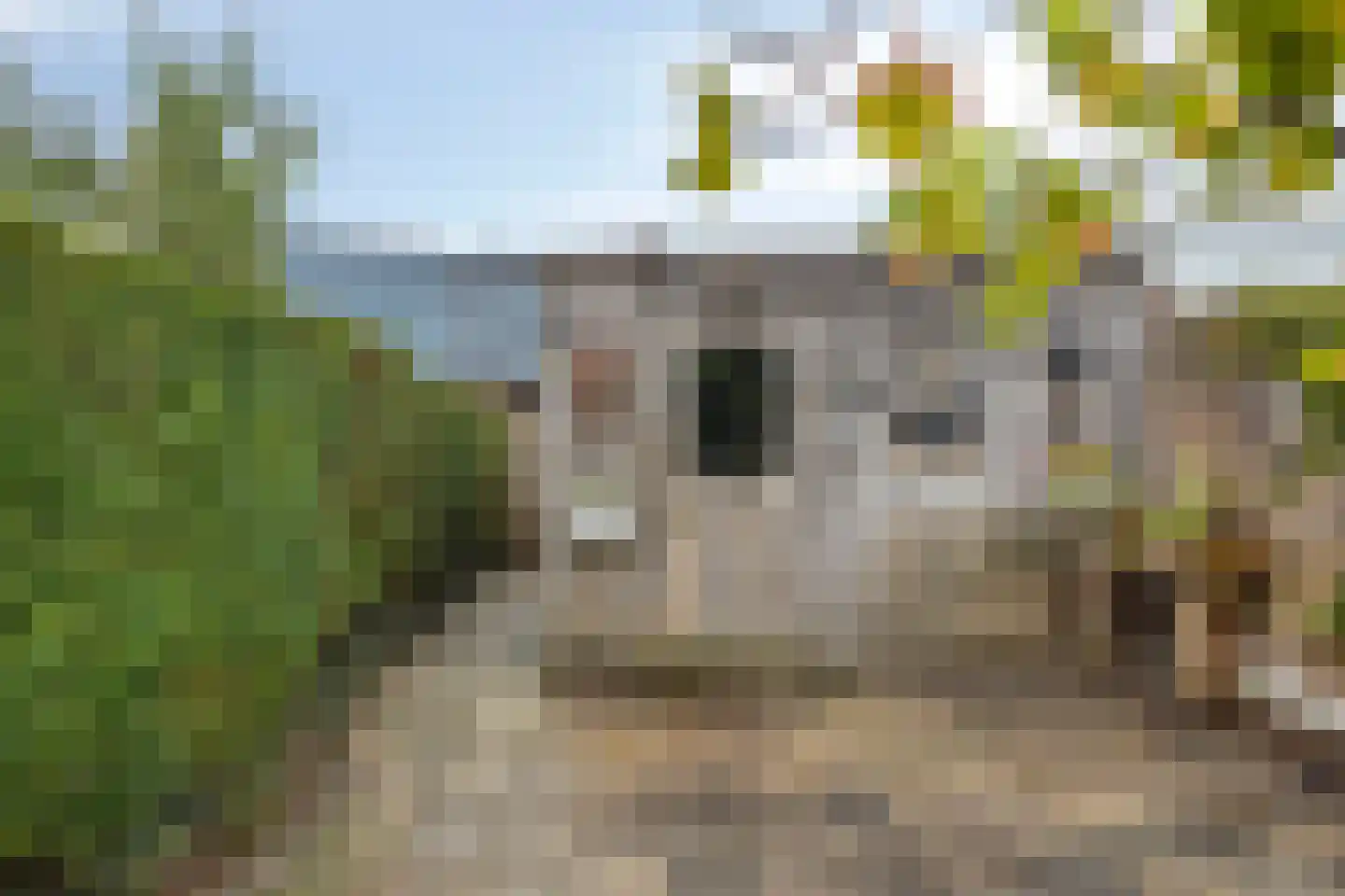 Prins Mauritsweg 21 Waalre thumbnail 23