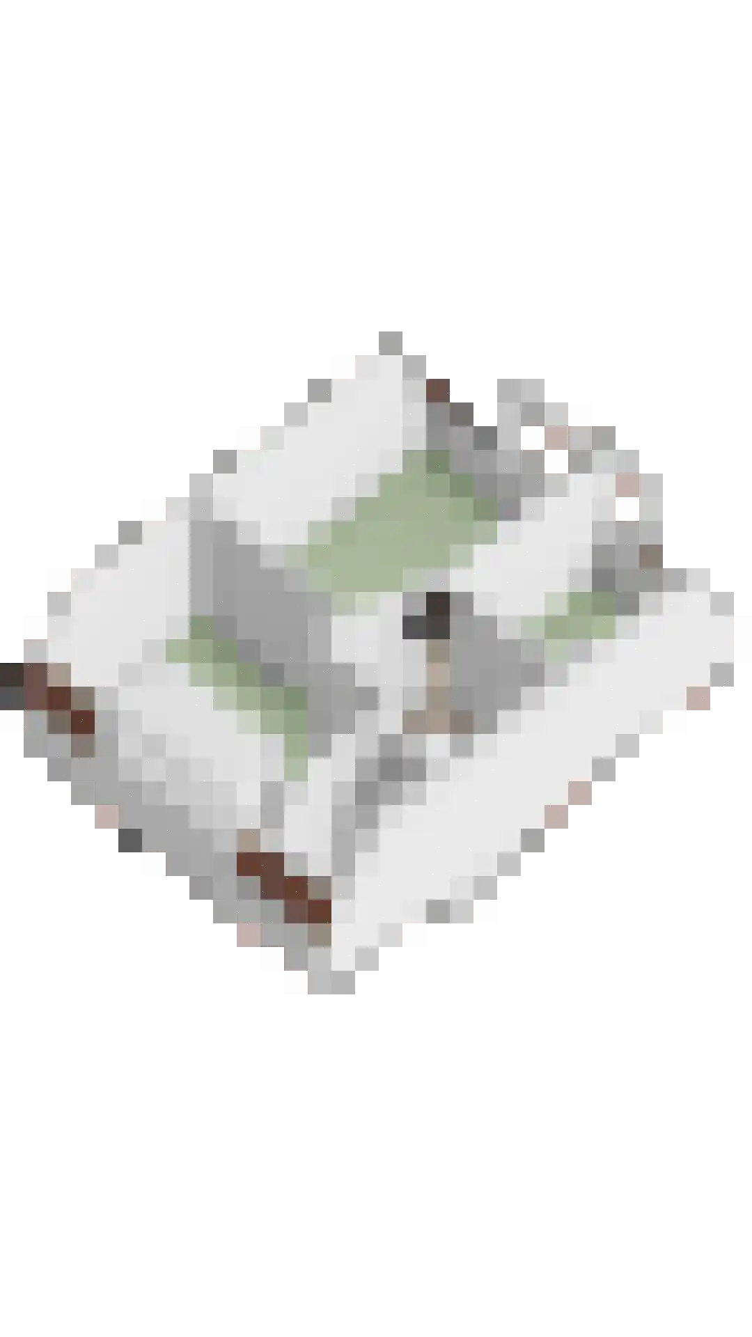Prins Mauritsweg 21 Waalre thumbnail 33