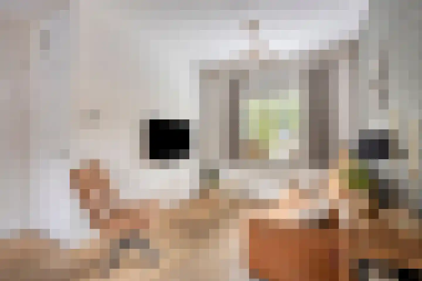 Prins Mauritsweg 21 Waalre thumbnail 4