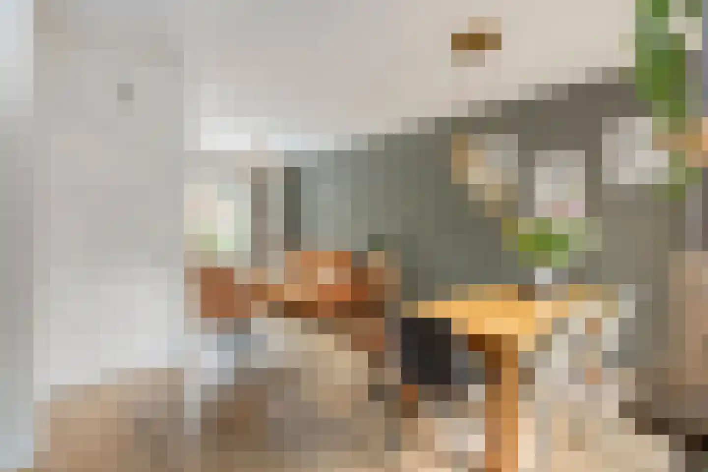 Prins Mauritsweg 21 Waalre thumbnail 5