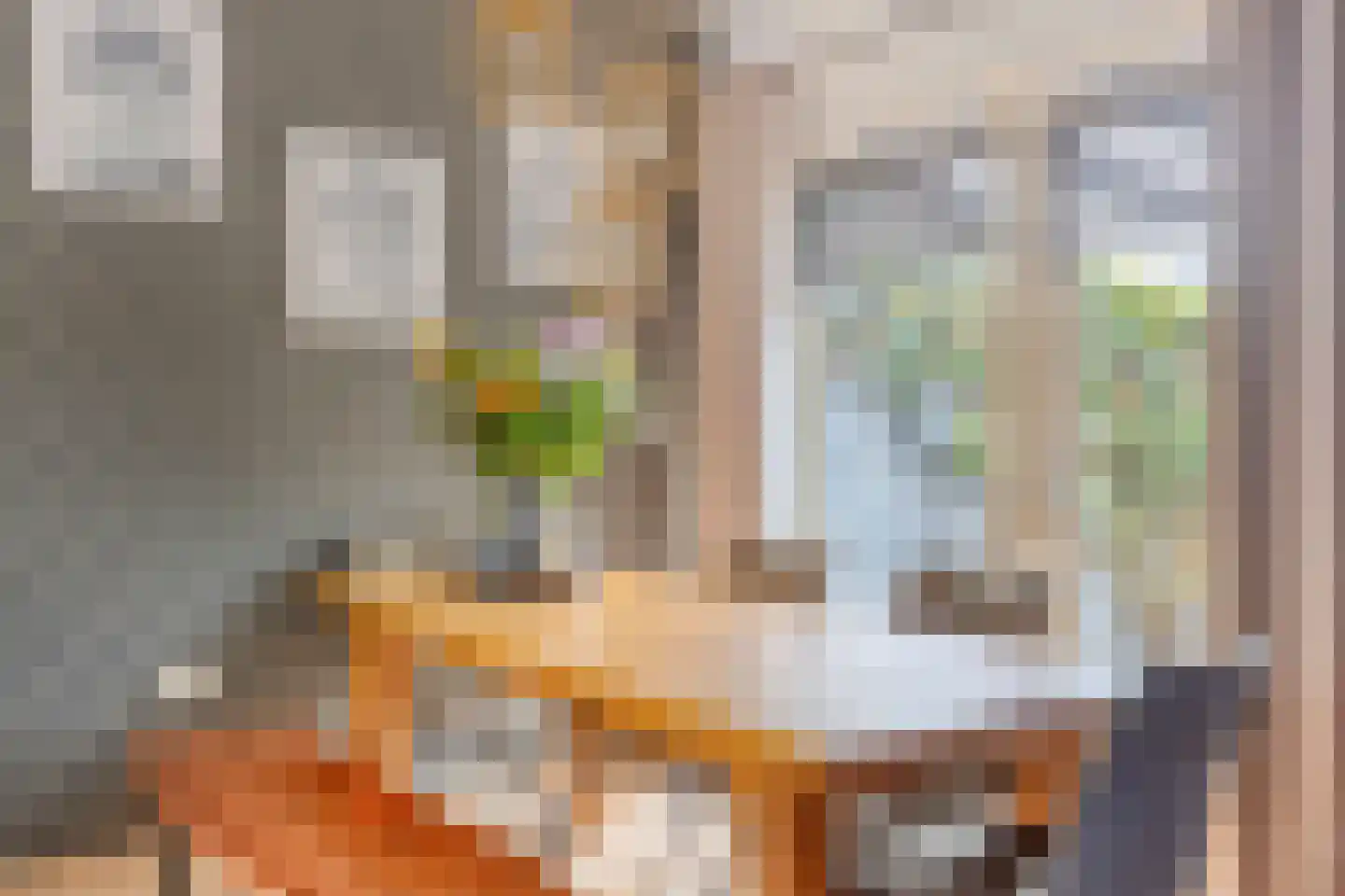 Prins Mauritsweg 21 Waalre thumbnail 6