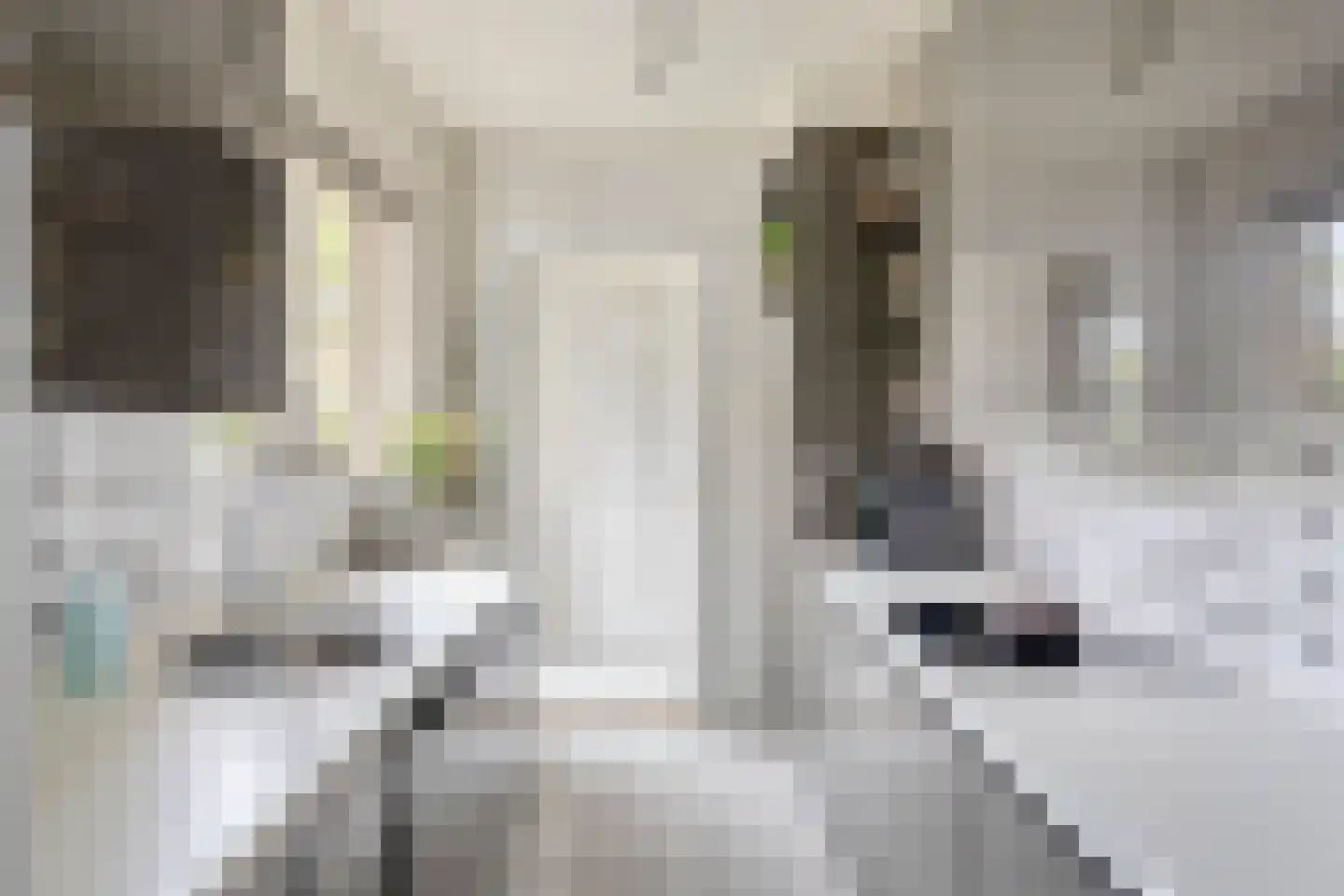 Prins Mauritsweg 21 Waalre thumbnail 8