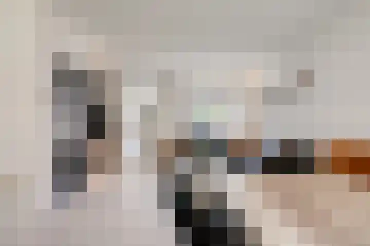 Prins Mauritsweg 23 Waalre thumbnail 10