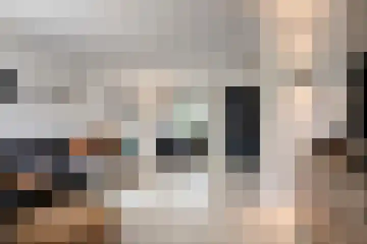 Prins Mauritsweg 23 Waalre thumbnail 11