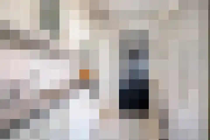Prins Mauritsweg 23 Waalre thumbnail 13