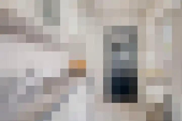 Prins Mauritsweg 23 Waalre thumbnail 14
