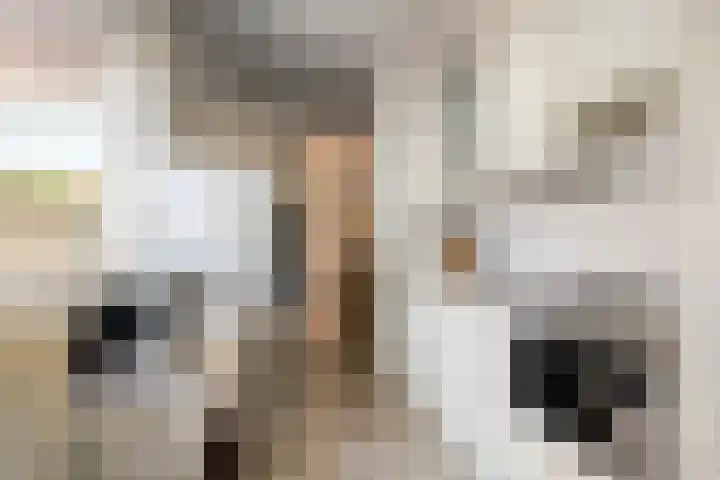 Prins Mauritsweg 23 Waalre thumbnail 15