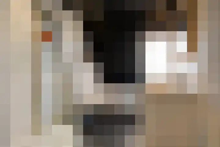 Prins Mauritsweg 23 Waalre thumbnail 20