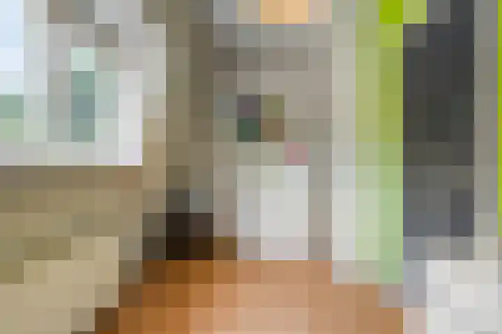 Prins Mauritsweg 23 Waalre thumbnail 23