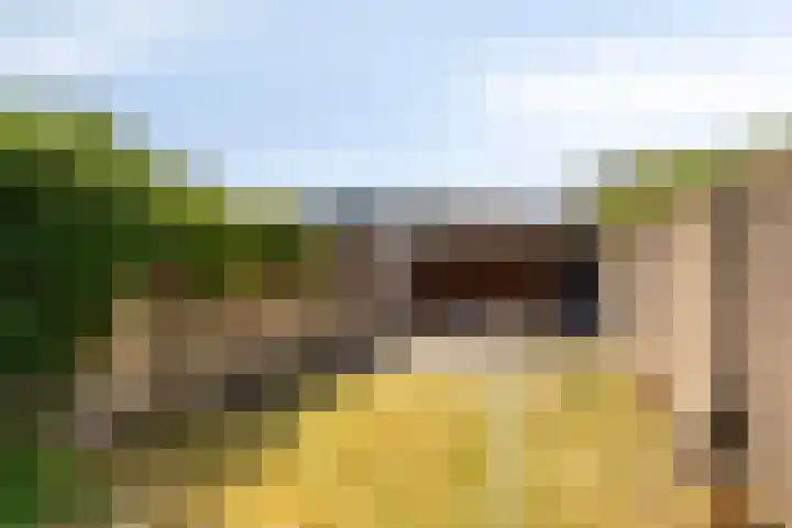 Prins Mauritsweg 23 Waalre thumbnail 29